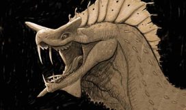 207 masterstudy_placeholder